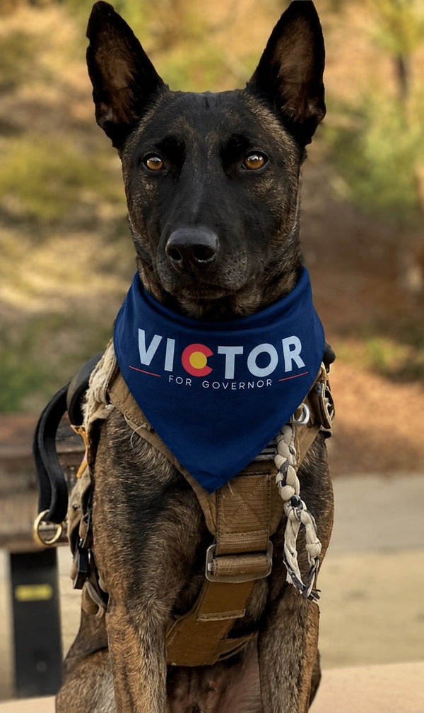 SMALL — Victor for Governor Pet Bandana