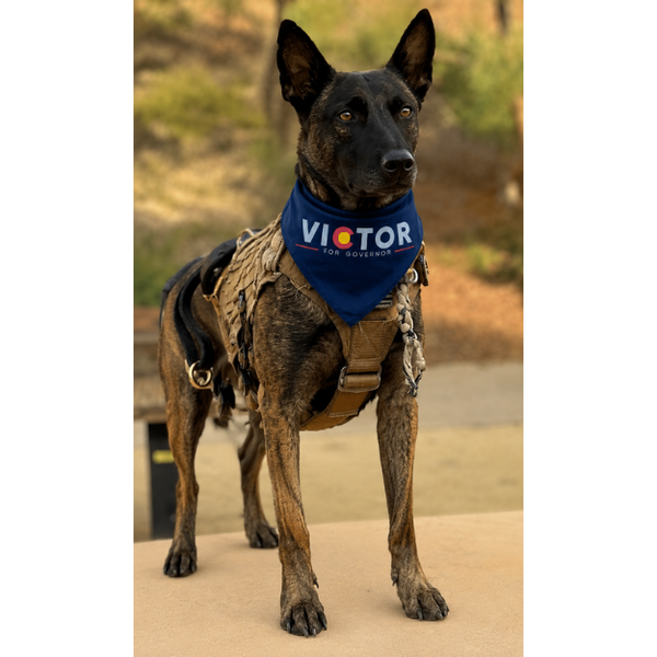 LARGE — Victor for Governor Pet Bandana